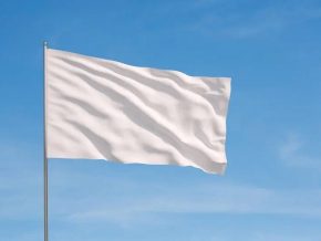 White Flag Size Adjusted White Flag Size Adjusted